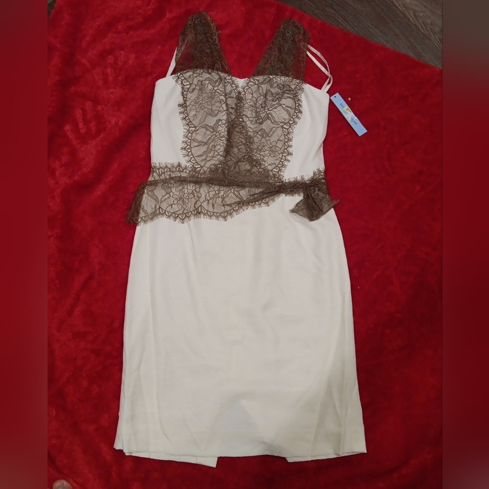 Antonio Melani Cream/brown Lace Detail Sleeveless Dress.Size 8 New With Tag $178